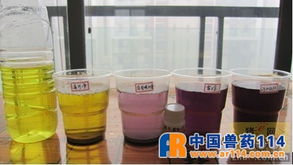 烈酒甜味背后 如何科學(xué)判斷脫霉劑處理霉菌毒素的能力？